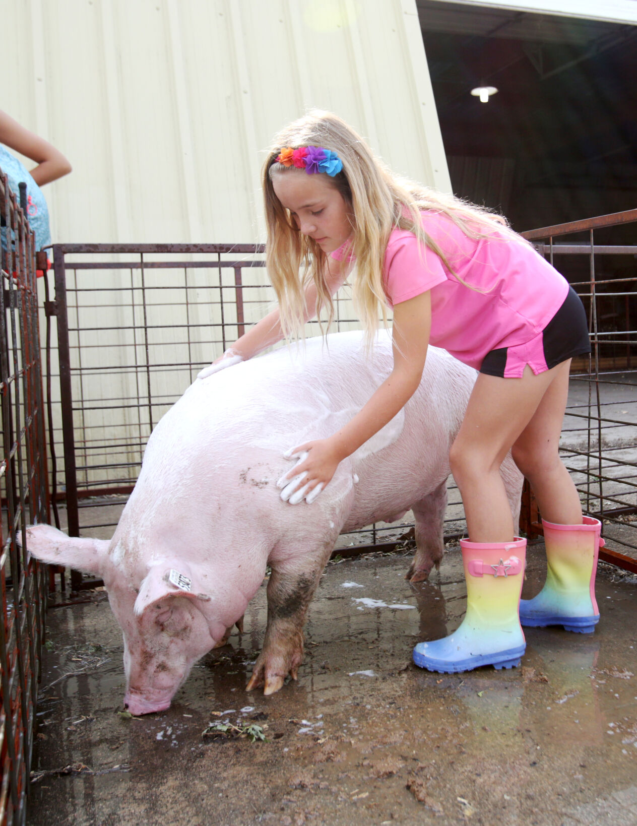 p07-14-21ACFanimals3.jpg